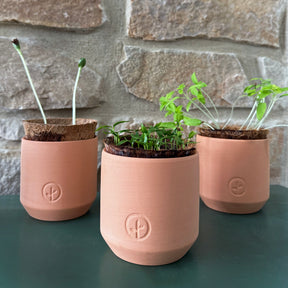 Three tiny terracotta garden kits with seedlings, featuring a natural stone background. Ideal for indoor gardening.