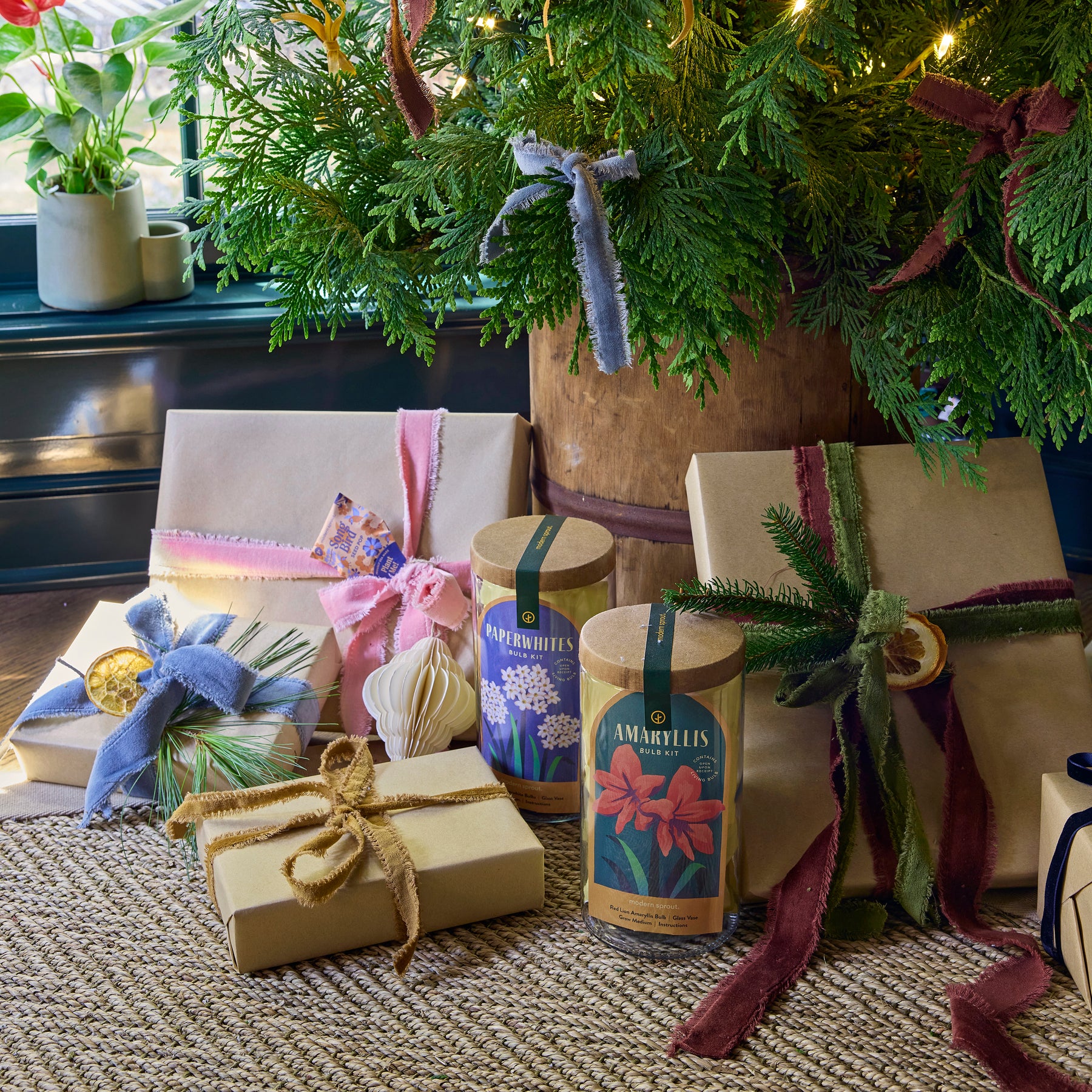 Winter Bulb Kits