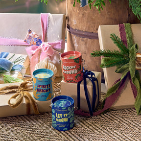 Seasonal Complimentary Colors Grow Kits