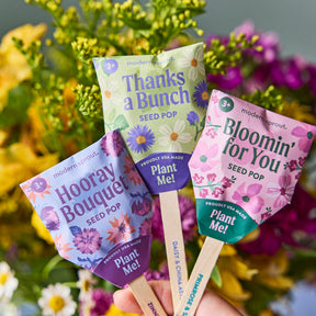 Seed Pops - Flowers