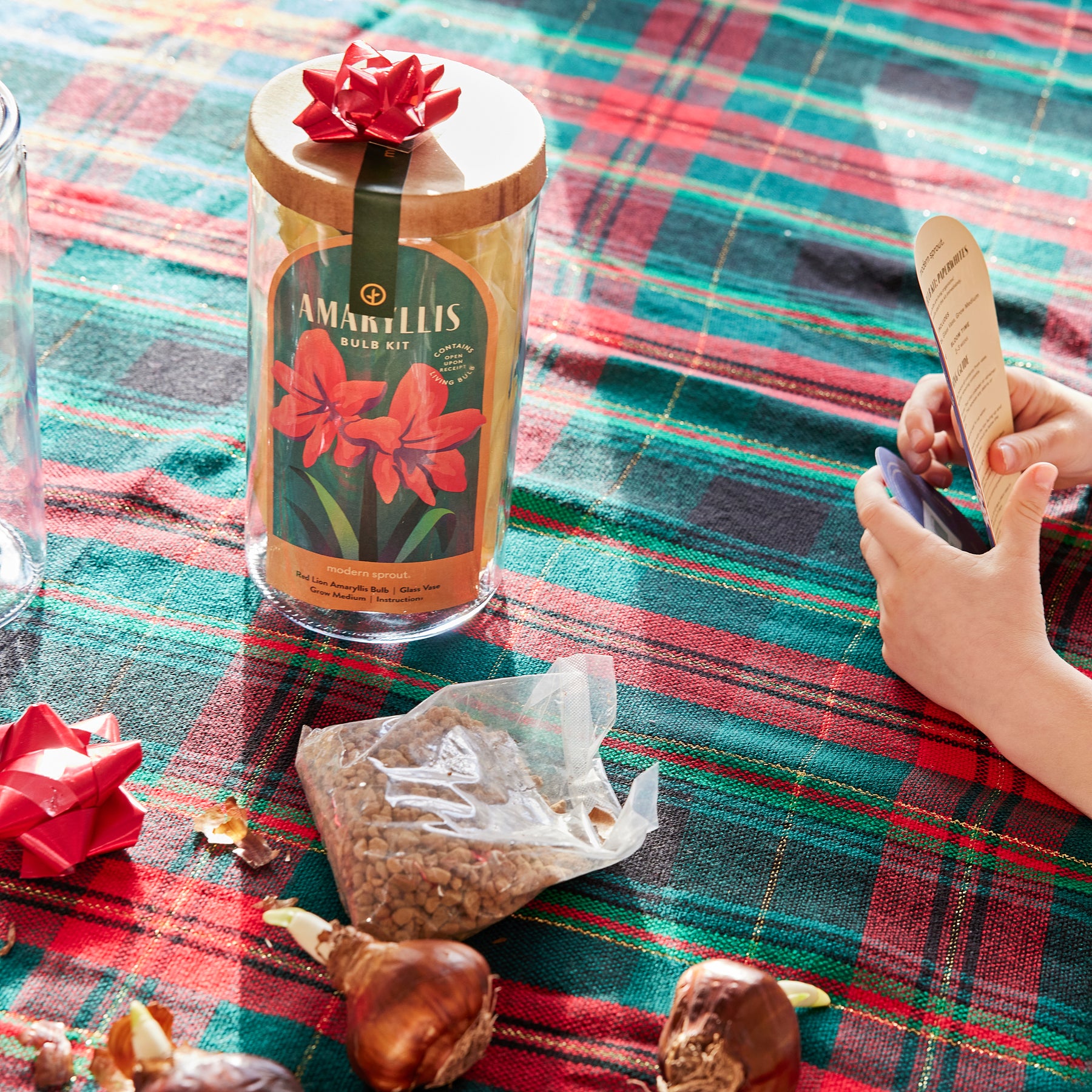Winter Bulb Kits