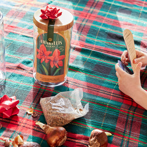 Winter Bulb Kits