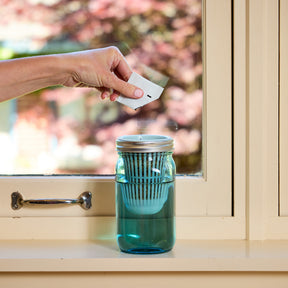 Hand placing a seed pod into a mason jar grow kit on a windowsill, with sunlight filtering through the glass.