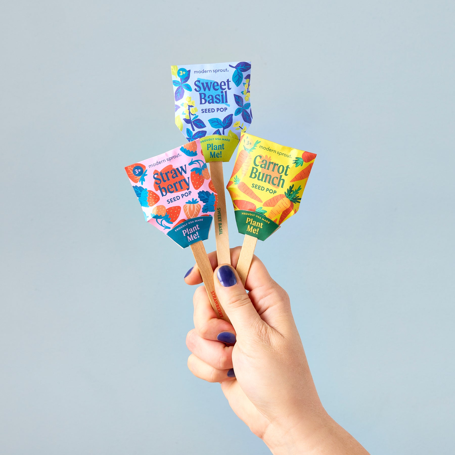 Hand holding three colorful Seed Pops for gardening: Sweet Basil, Strawberry, and Carrot Bunch, against a light background.