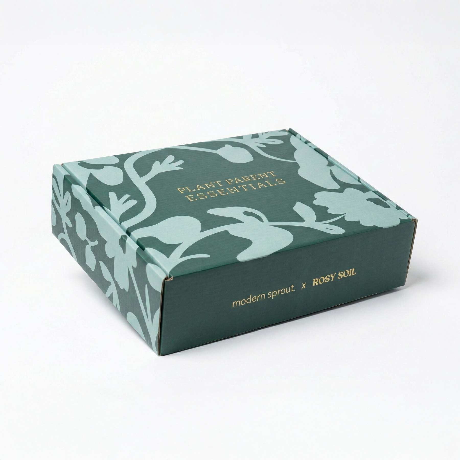 Plant Parent Essentials Gift Set - Rosy Soil x Modern Sprout