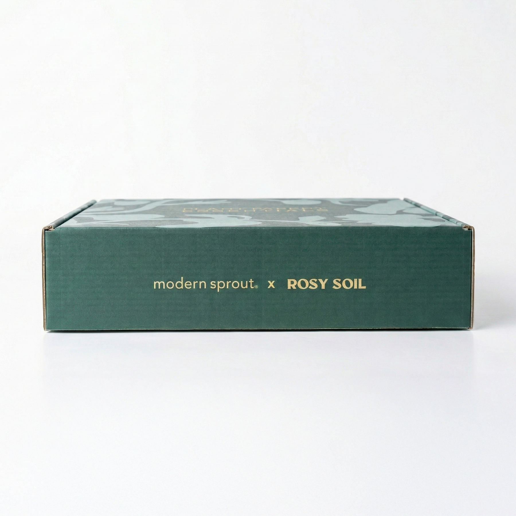 Plant Parent Essentials Gift Set - Rosy Soil x Modern Sprout