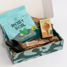 Plant Parent Essentials Gift Set - Rosy Soil x Modern Sprout