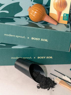 Plant Parent Essentials Gift Set - Rosy Soil x Modern Sprout
