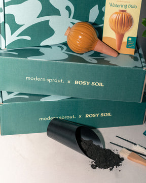 Plant Parent Essentials Gift Set - Rosy Soil x Modern Sprout