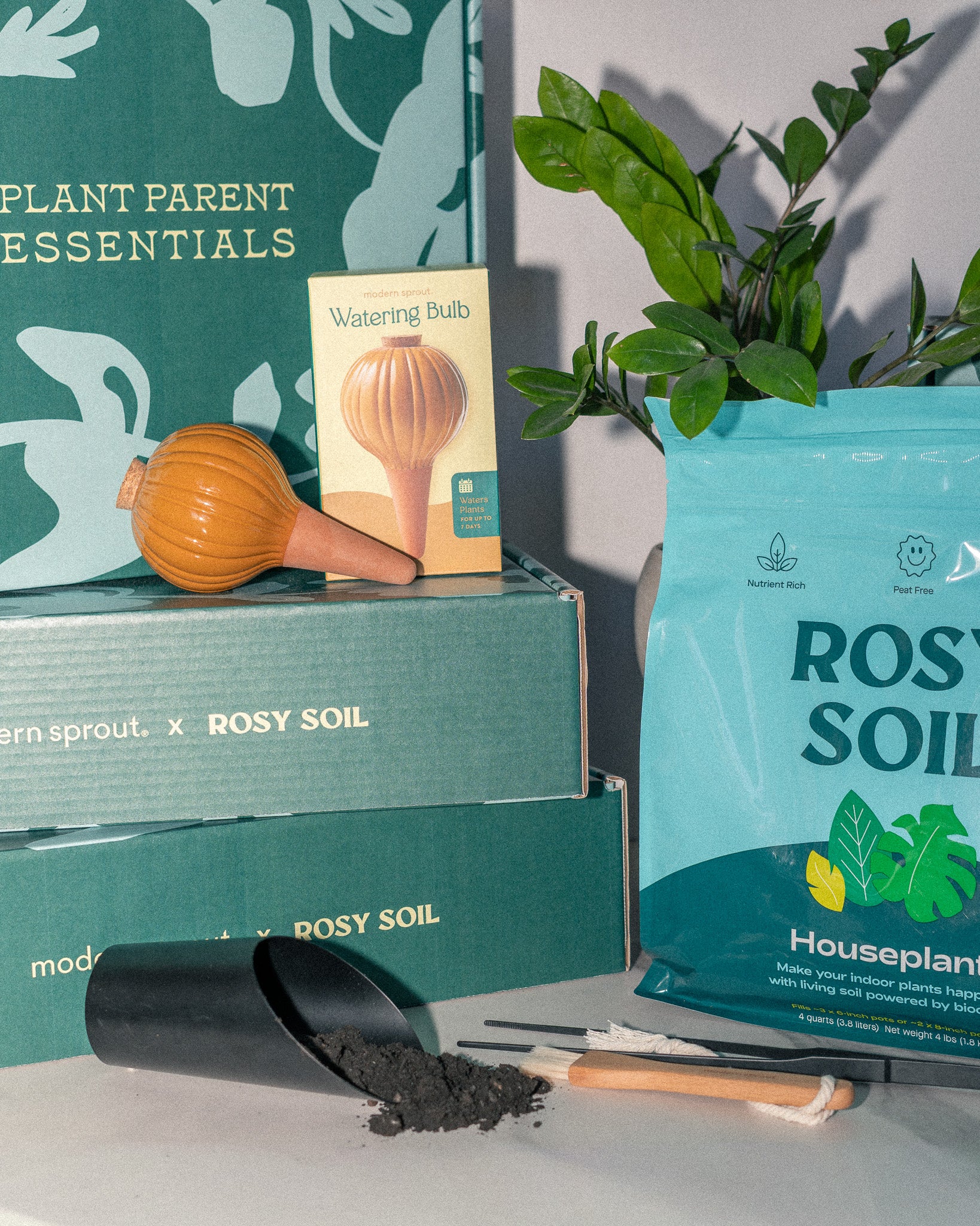 Plant Parent Essentials Gift Set - Rosy Soil x Modern Sprout