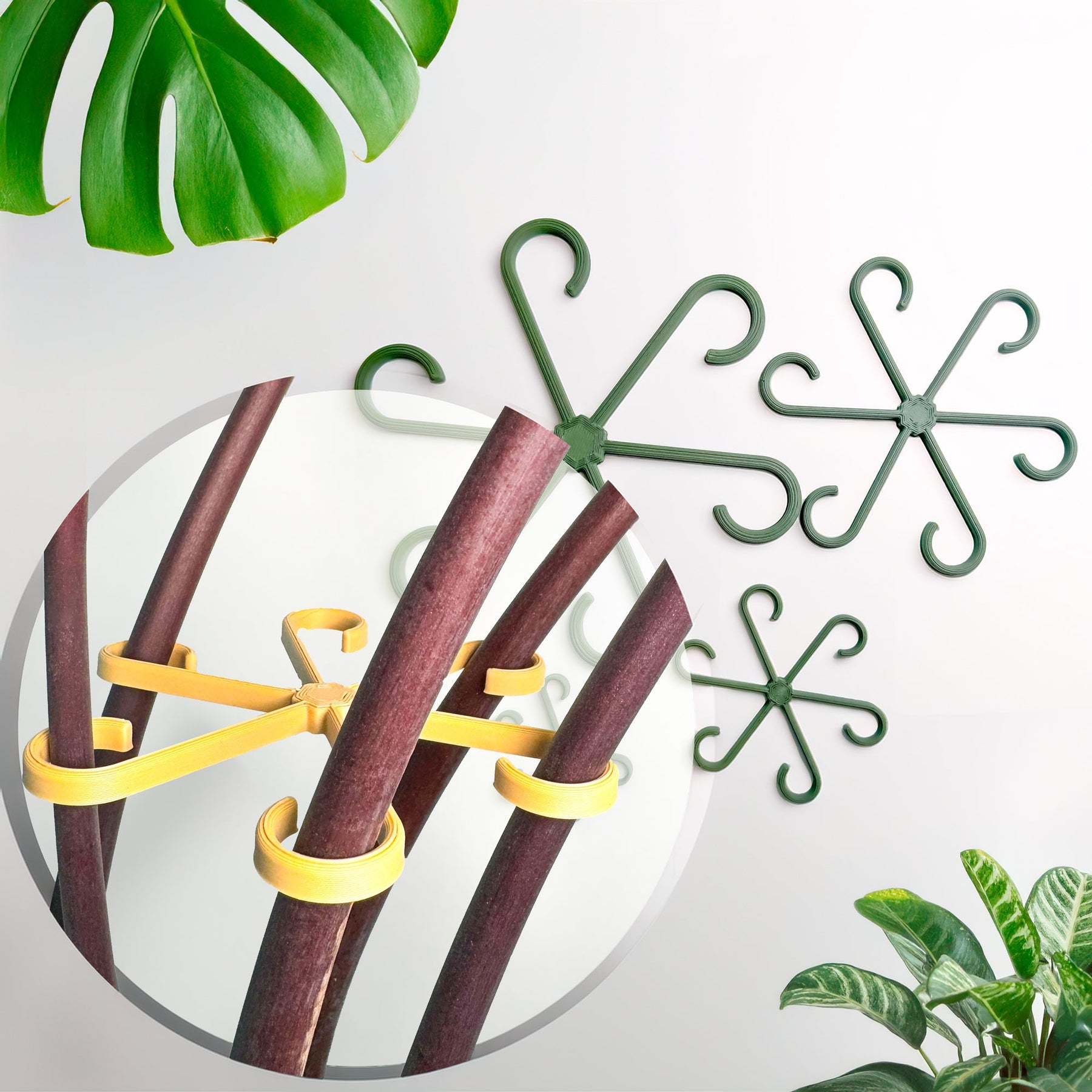 Plant Stem Supports