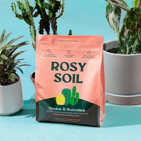 Cactus and succulent grow medium in a pink bag labeled "Rosy Soil" with potted plants in the background.