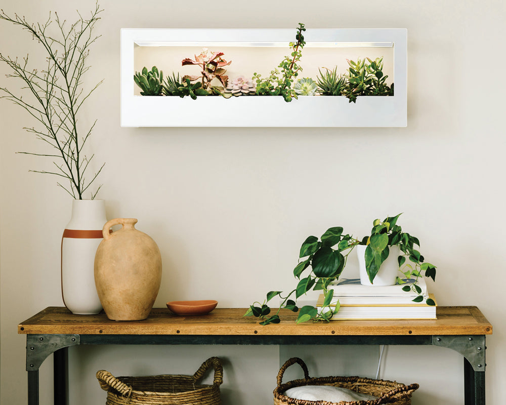 Wall-mounted indoor garden with mixed plants, next to a terracotta vase and greenery on a wooden table.