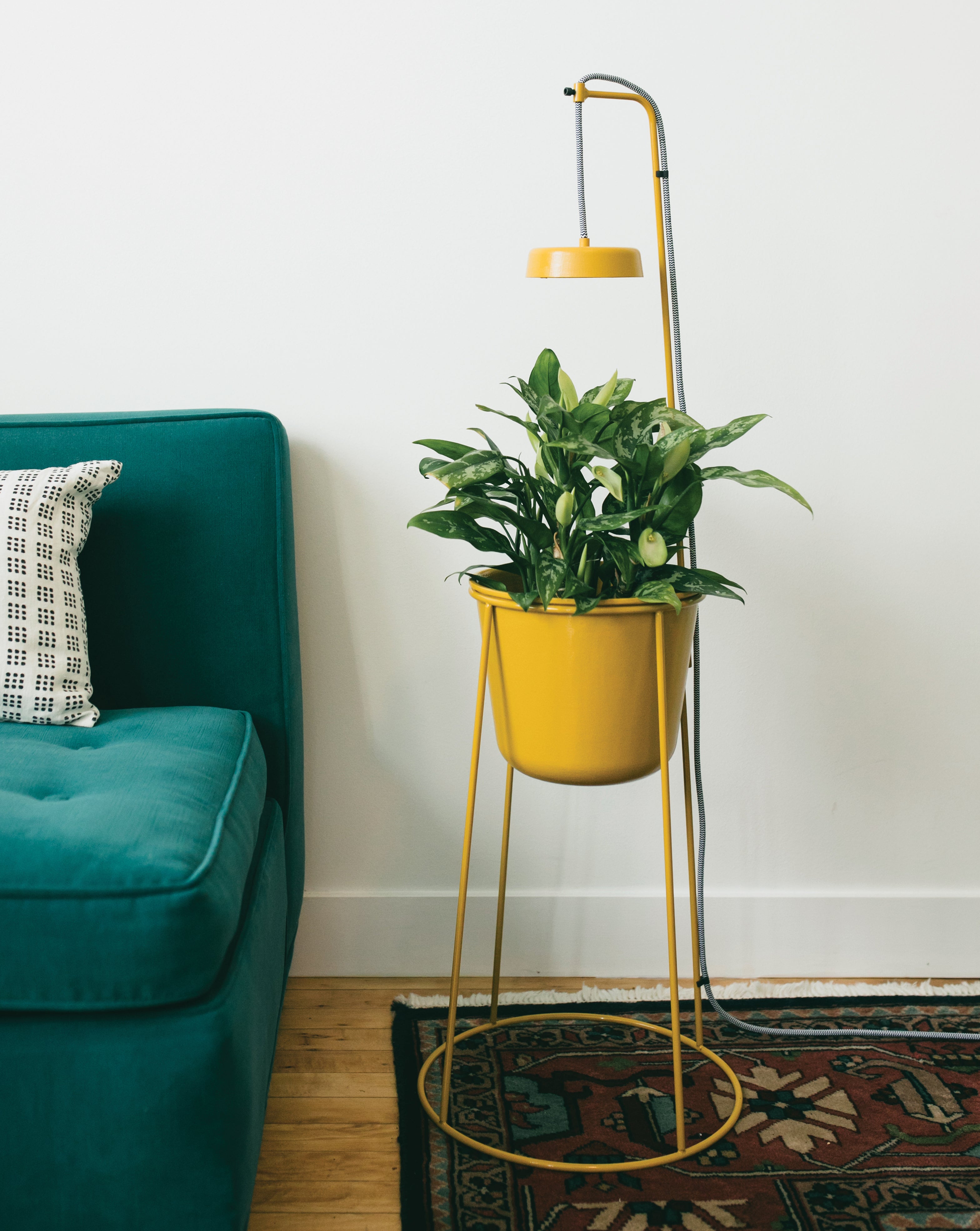 Yellow indoor hydroponic planter on a tall stand with an integrated grow light, beside a teal sofa.