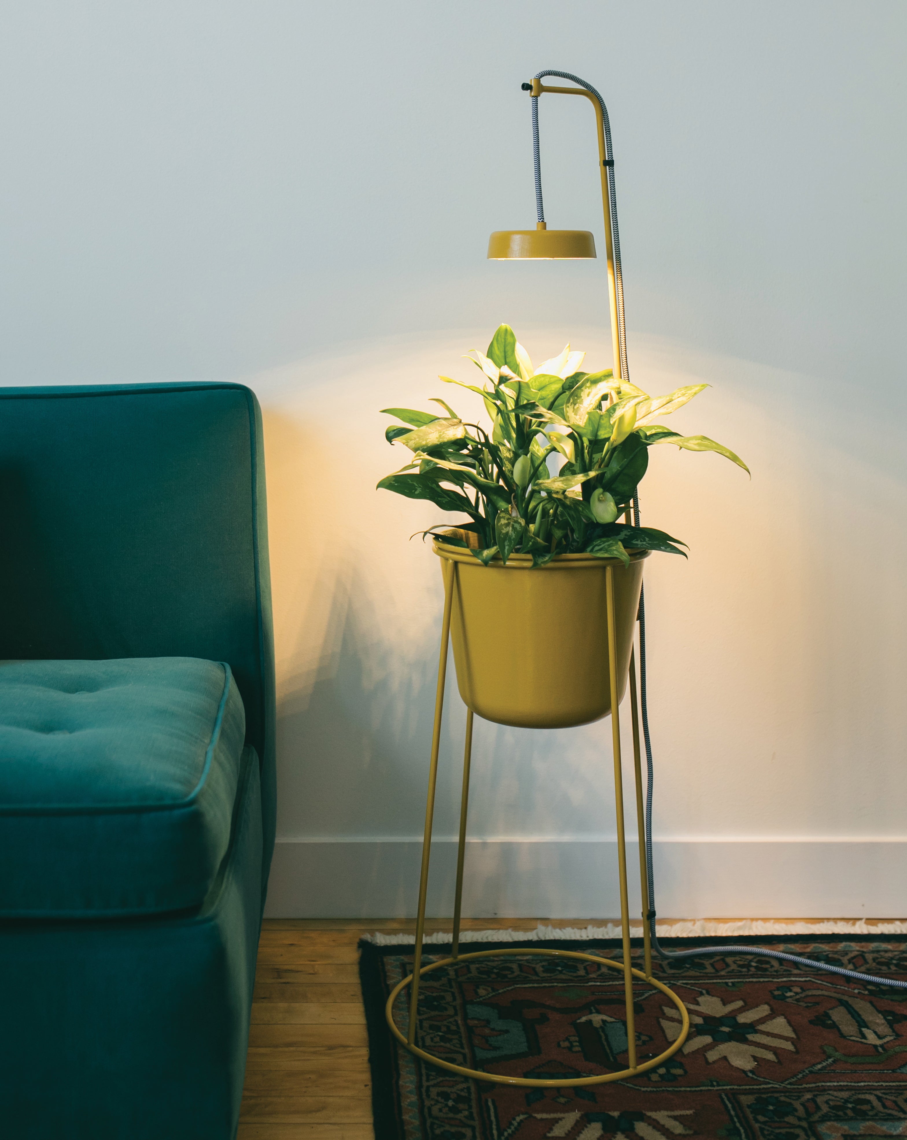 Indoor hydroponic plant in a yellow pot with integrated grow light, next to a blue chair.