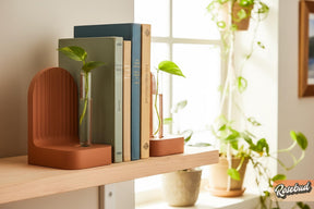 Ribbed Bookend Propagation Station
