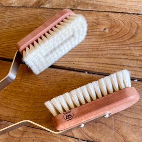 Indoor Plant Dust Brush