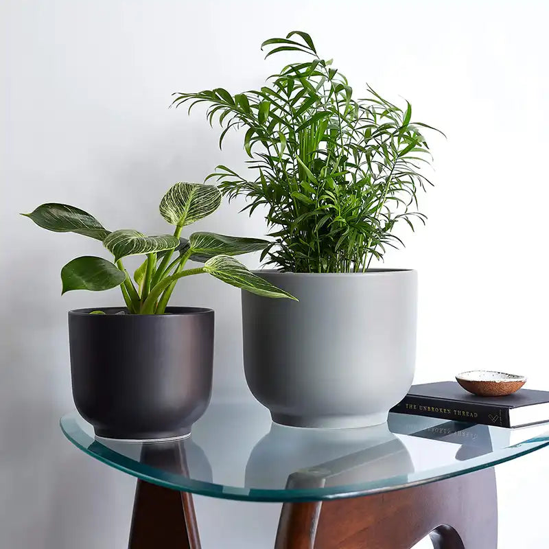 Bell Planter