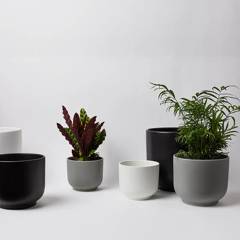 Bell Planter