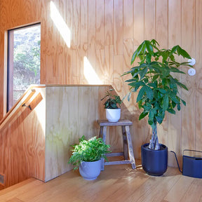 Bell Planter