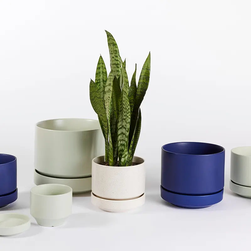 Round Two Planter