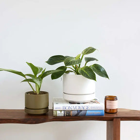 Round Two Planter
