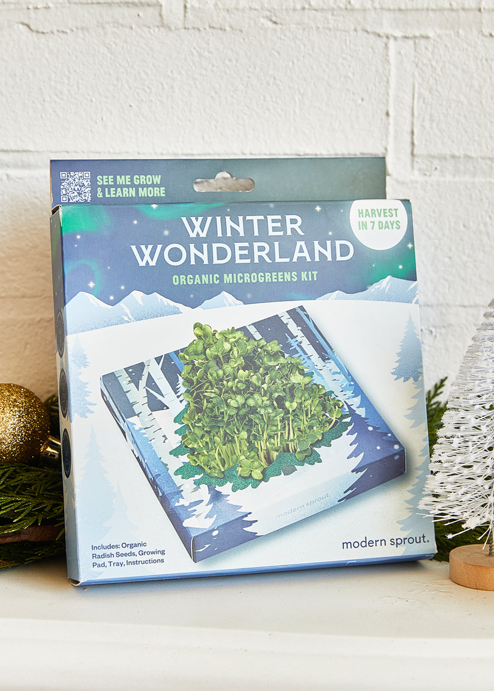 Winter Wonderland Organic Microgreens Kit with vibrant green sprouts, includes seeds, tray, and instructions, perfect for ...
