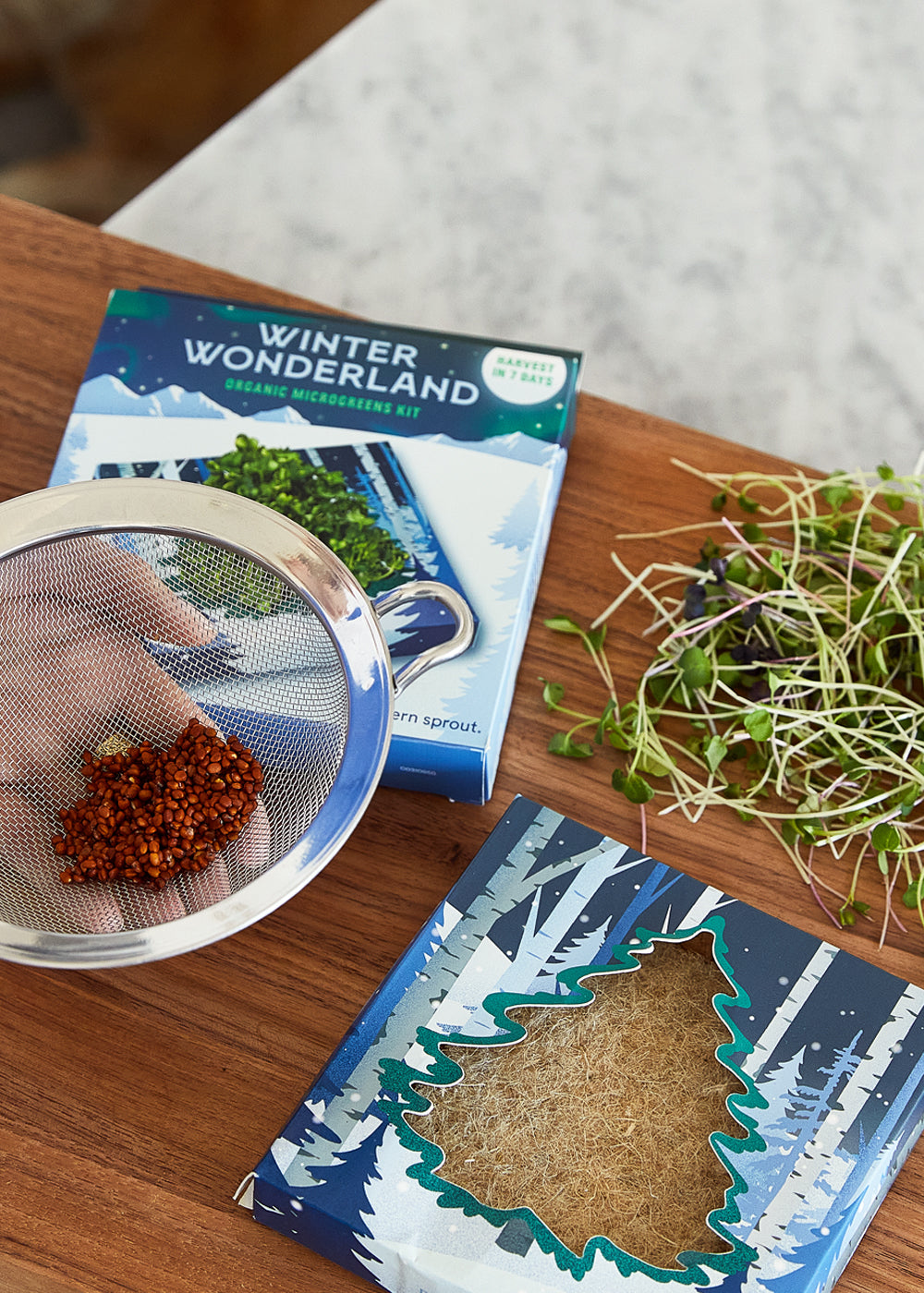 Close-up of the Winter Wonderland Organic Microgreens Kit, featuring seeds, growing medium, and fresh sprouts on a wooden ...