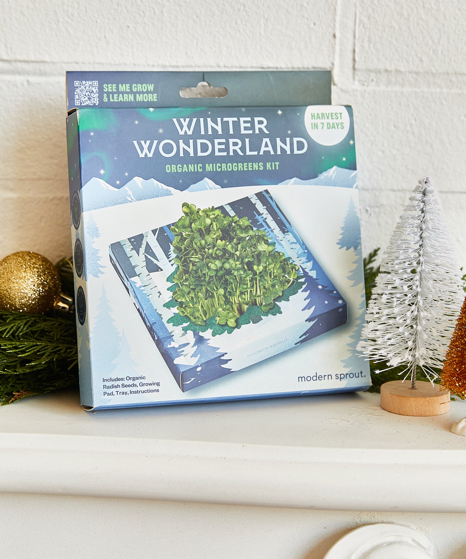 Winter Wonderland Organic Microgreens Kit with vibrant greens, includes a growing pad, tray, and instructions, set against...