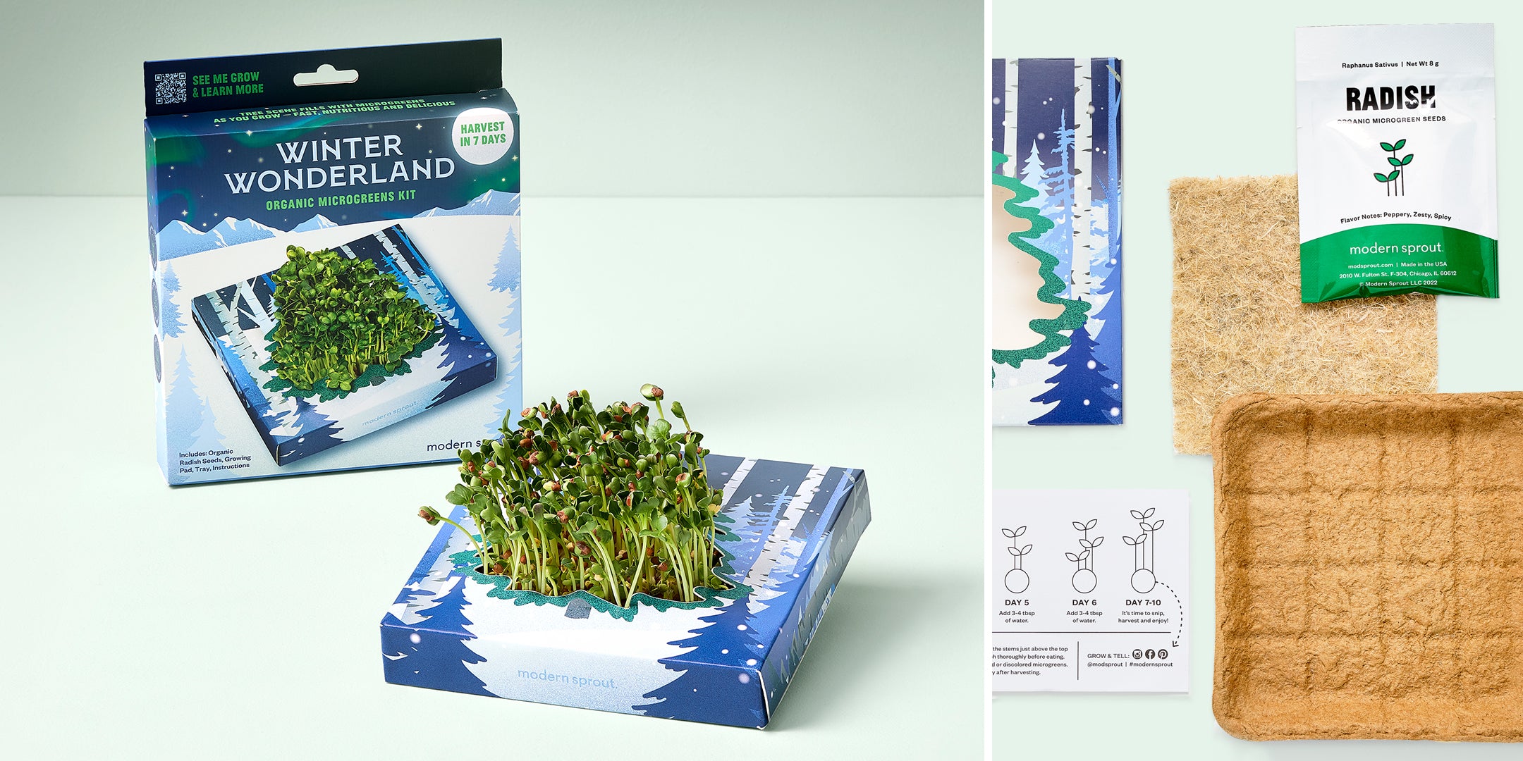 Organic Winter Wonderland hydroponic kit with green microgreens, featuring a forest-themed box and planting instructions.