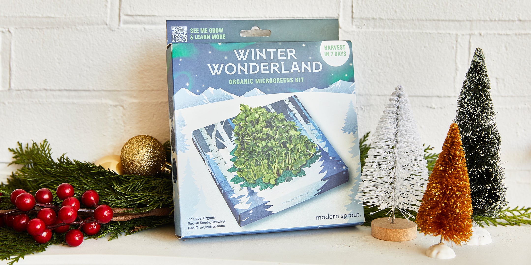 Winter Wonderland Organic Microgreens Kit with vibrant greens, festive packaging, and winter-themed decor. Perfect for ind...