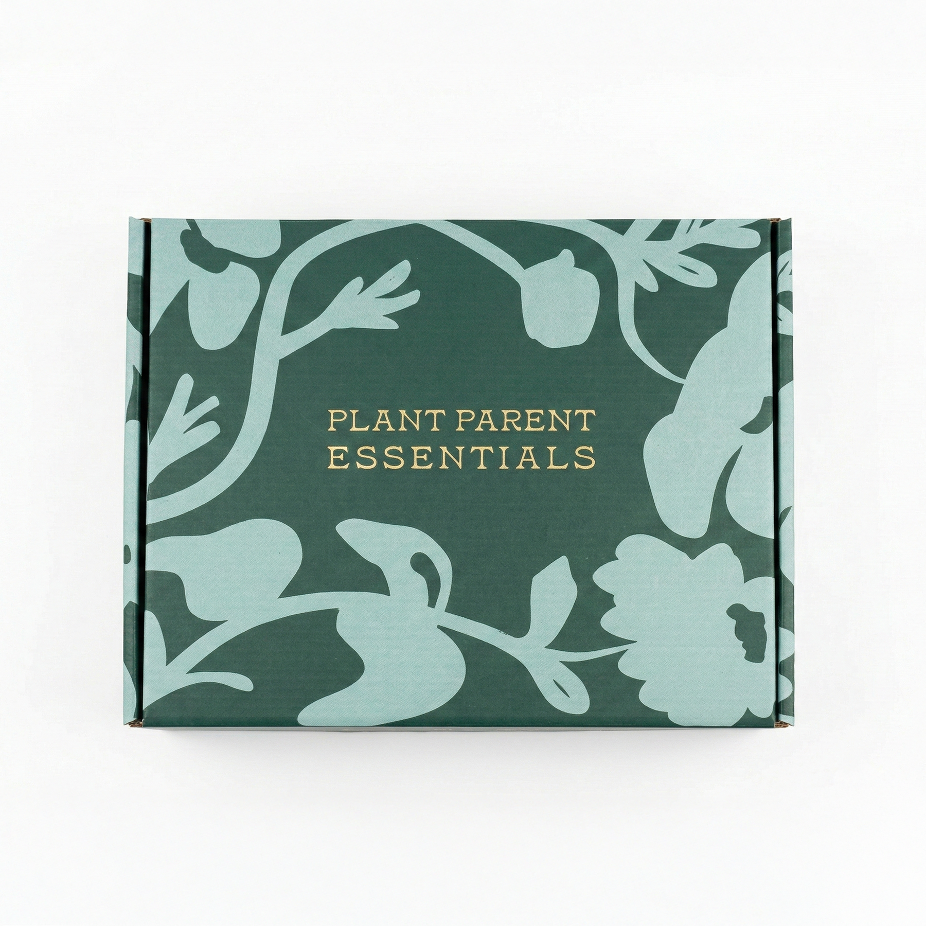 Plant Parent Essentials Gift Set - Rosy Soil x Modern Sprout