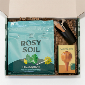 Plant Parent Essentials Gift Set - Rosy Soil x Modern Sprout