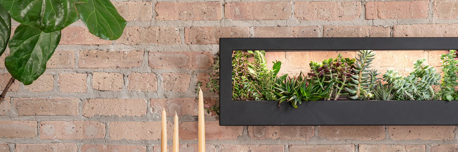 Wall-mounted hydroponic garden with succulents in a black frame against a brick wall.