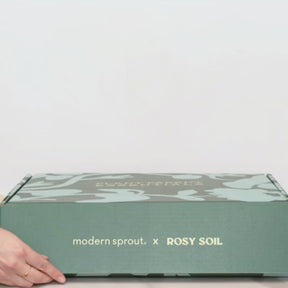 Plant Parent Essentials Gift Set - Rosy Soil x Modern Sprout