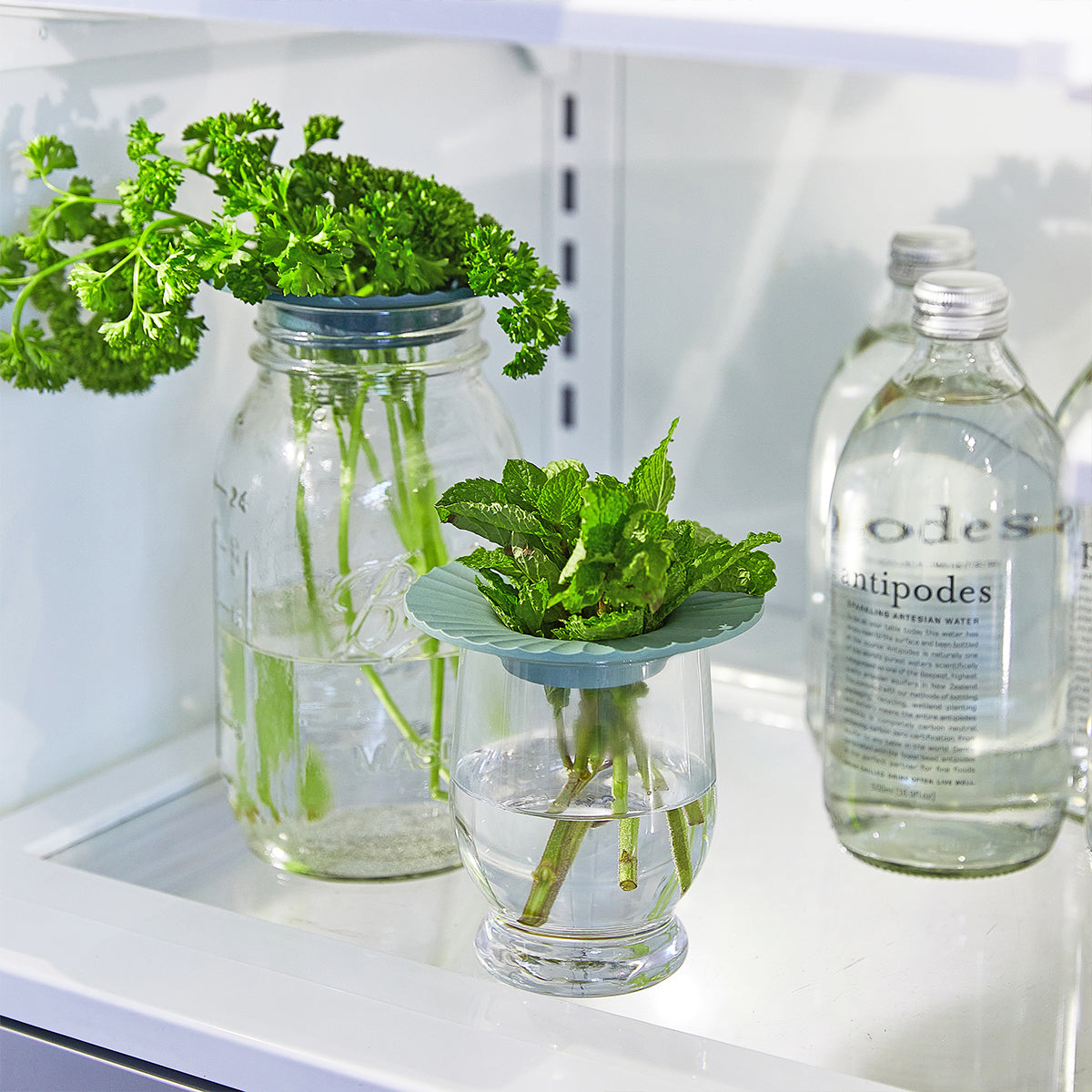 Fresh parsley and mint sprigs in glass jars with water, featuring green plant holders, displayed inside a refrigerator.