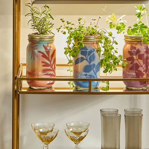 Product image of Garden Jars - Organic Herbs