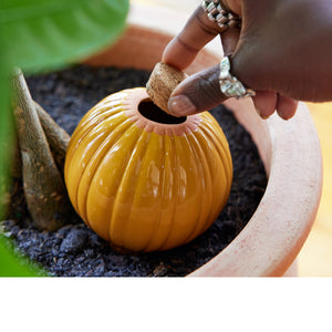 Product image of Terracotta Watering Bulbs