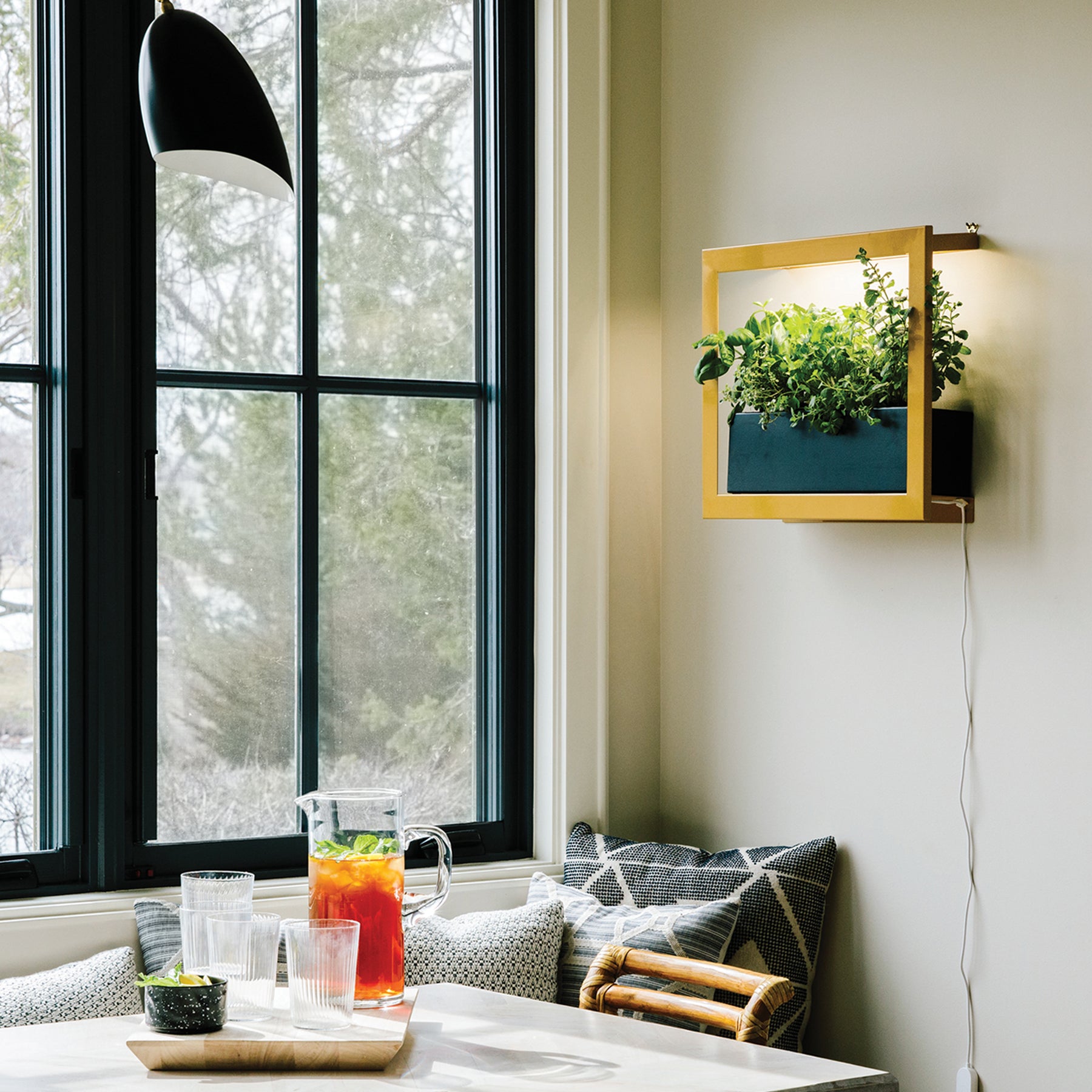 Stylish indoor hydroponic garden kit in a wooden frame with vibrant green herbs, next to a pitcher of iced tea.