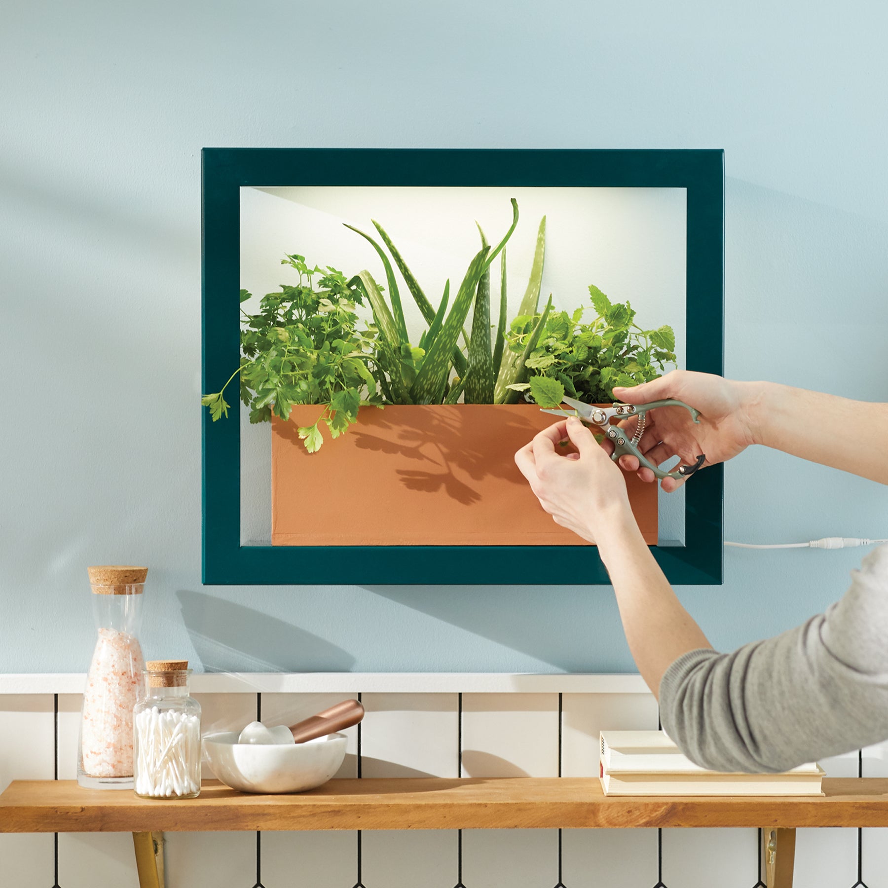 A hand trims fresh herbs from a modern indoor planter with vibrant green plants against a light blue wall.