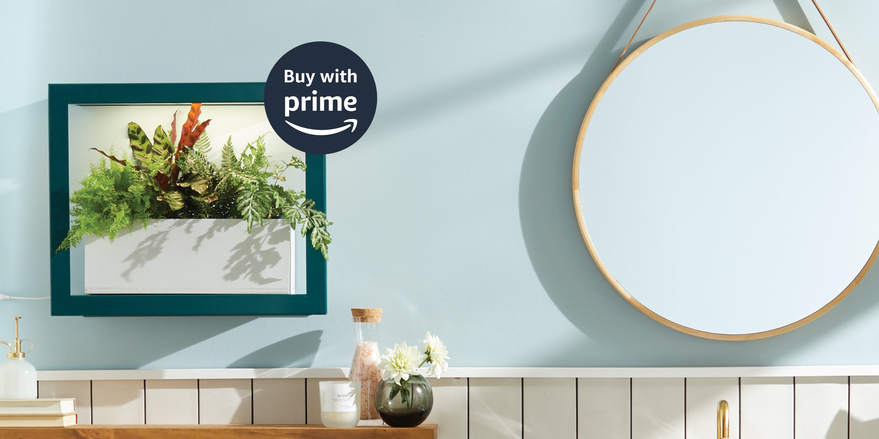 Wall-mounted hydroponic garden kit with vibrant greenery in a sleek white planter, framed in teal, against a pastel wall.