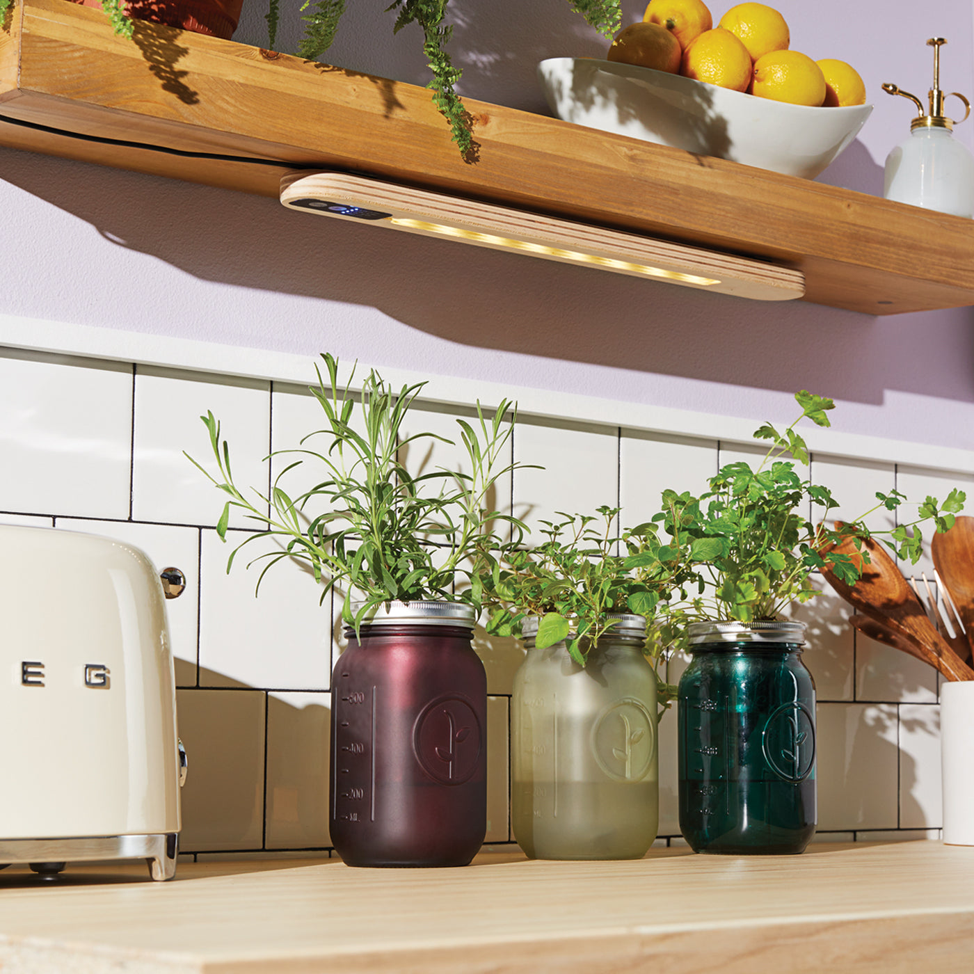 Three glass jars with herbs, including rosemary and basil, sit on a wooden countertop under a stylish wooden light fixture.