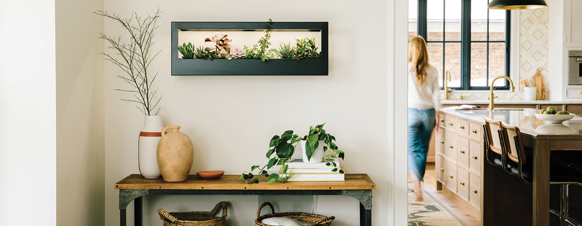 Indoor hydroponic garden kit in sleek black frame, featuring lush green plants and a stylish wooden table.