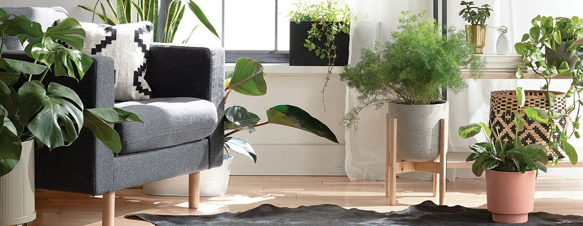 Cozy indoor garden setup featuring green plants in stylish pots, a textured gray chair, and natural light from a window.