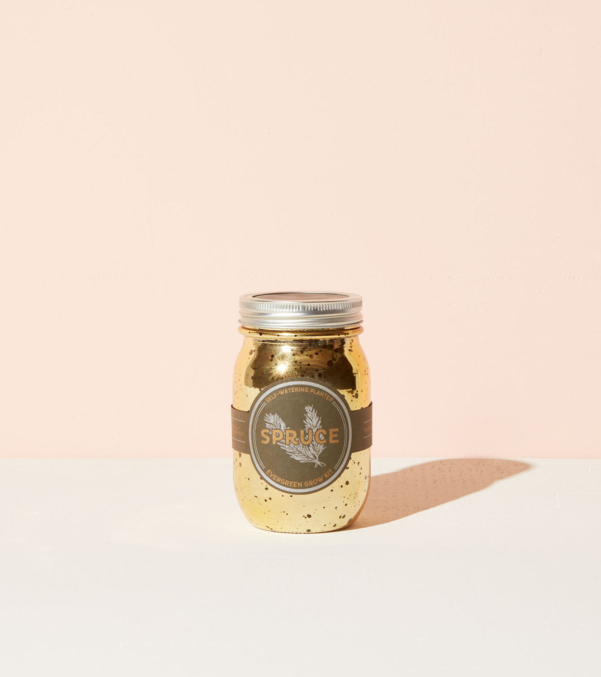 Gold speckled glass garden jar labeled "Spruce," featuring a silver lid and a minimalist design against a pastel background.