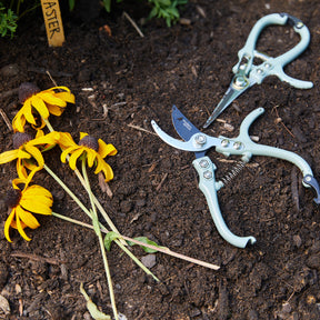 Gardening shears and pruners resting on soil beside freshly cut yellow flowers, showcasing essential gardening tools.