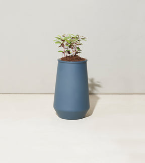 Tapered tumbler grow kit in blue with young plants emerging from the top, set against a neutral background.