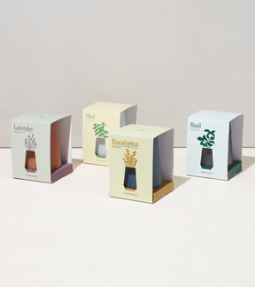 Four Tapered Tumbler Grow Kits in pastel packaging, featuring Lavender, Mint, Eucalyptus, and Basil designs.