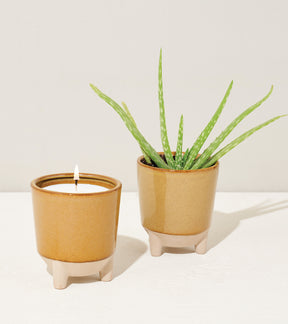 A ceramic pot with an aloe vera plant beside a candle in a matching pot, both on a white surface.