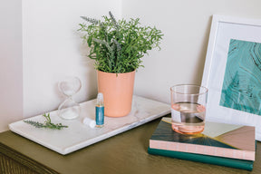 Mindful meditation kit displayed on a table with a plant, hourglass, essential oil, glass of water, and decorative books.